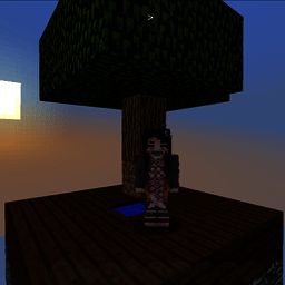 我的世界咸鱼空岛 V阿夜整合