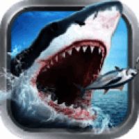 全民钓鱼 旧版本 V8.5.5