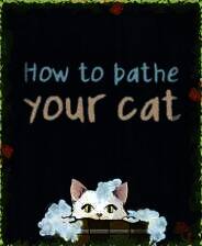 《How To Bathe Your Cat》免安装版