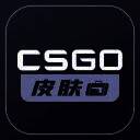 CSGO皮肤宝 V1.0