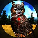 3D猫头鹰狩猎模拟 V1.0