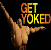 健身模拟器 下载安装正版手机版 V1.1.1