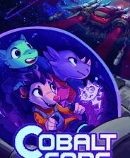 《钴芯》免安装