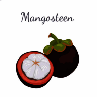 山竹社区 旧版 V3.4.1