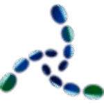 U深度装机版5.0.23.926