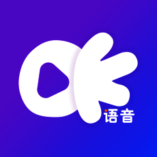 OK语音 V1.0
