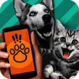 动物语言翻译器 免费无需登录 V2.3.4