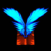 一只蝴蝶 V1.4