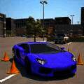 驾校学车模拟器 V1.1