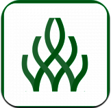 伴我考教师证 V3.1.3