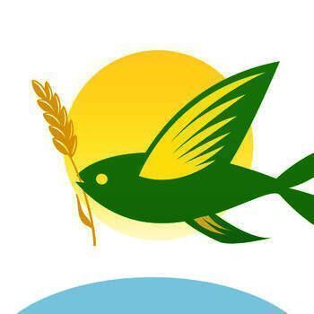 春播 抢鲜版 V2.0.3