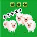 羊了咩羊 V9.0