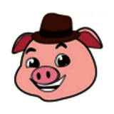 猪猪软件库 2.1官方版本下载 V2.1