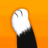 猫爪输入法 V1.0