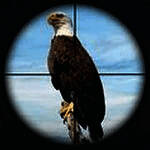 鸟类猎人狙击手 手机版 V1.0