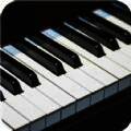 真实钢琴块 最新版 V1.0