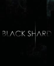 《黑碎片》 v20250516升级档+未加密补丁[TENOKE]