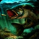 终极钓鱼模拟器 最新版 V2.1